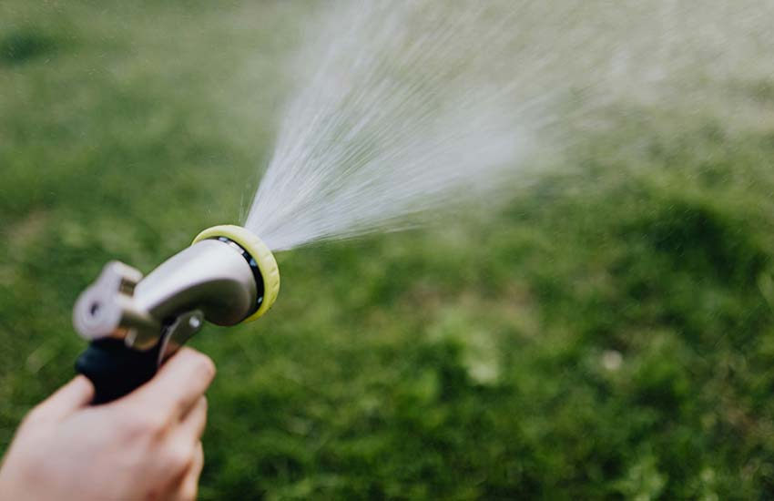 Landscape installation and renovation