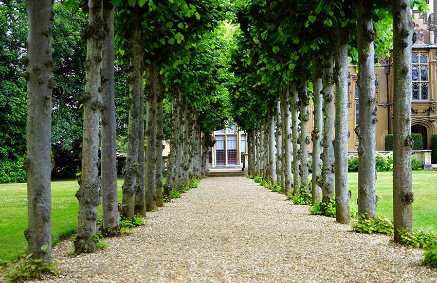 Landscape Renovation Services